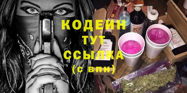 ГАЛЛЮЦИНОГЕННЫЕ ГРИБЫ Лагань