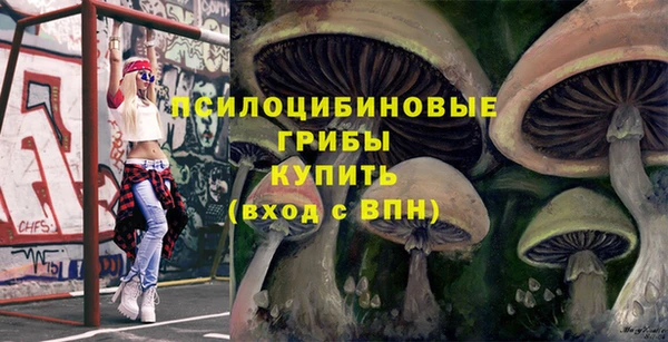 ГАЛЛЮЦИНОГЕННЫЕ ГРИБЫ Лагань