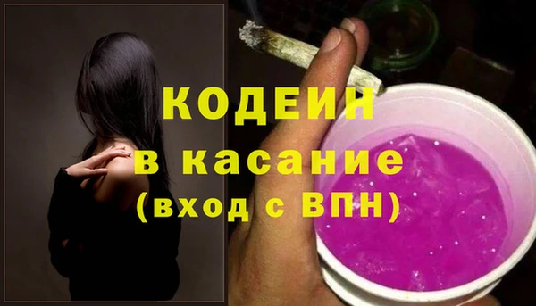 ГАЛЛЮЦИНОГЕННЫЕ ГРИБЫ Лагань