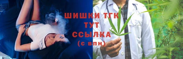ГАЛЛЮЦИНОГЕННЫЕ ГРИБЫ Лагань