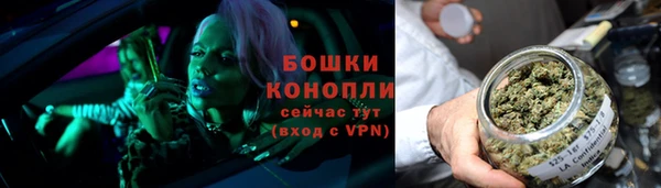 ГАЛЛЮЦИНОГЕННЫЕ ГРИБЫ Лагань