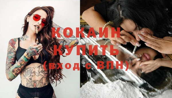 ГАЛЛЮЦИНОГЕННЫЕ ГРИБЫ Лагань