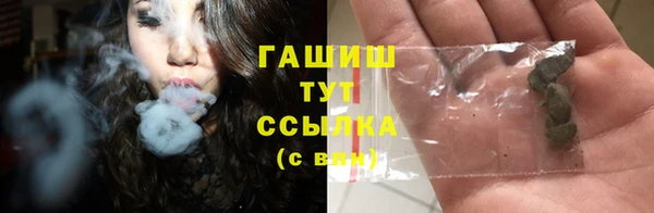 ГАЛЛЮЦИНОГЕННЫЕ ГРИБЫ Лагань