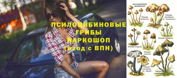 СК Магадан