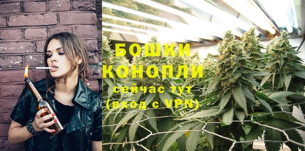 ГАЛЛЮЦИНОГЕННЫЕ ГРИБЫ Лагань